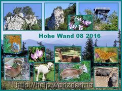 Hohe Wand 2016